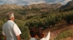 Venta del Barón - World's Best Extra Virgin Olive Oil
