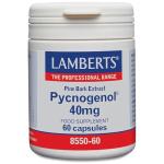 Lamberts Pycnogenol 40mg - Vegan Maritime Pine Bark