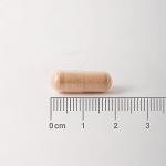 Lamberts Pycnogenol 40mg - Vegan Maritime Pine Bark