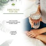 Pure Trans Resveratrol Powder - 20g High Absorption