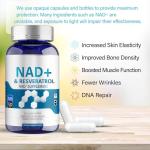NAD+ Energy & Cellular Support Supplement - 120 Capsules