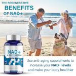 NAD+ Energy & Cellular Support Supplement - 120 Capsules