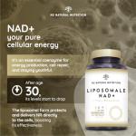 NAD Supplements with Trans Resveratrol and NR