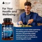 High Strength Acidophilus Probiotics for Gut Health