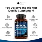 High Strength Acidophilus Probiotics for Gut Health