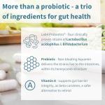Probiotics & Prebiotics for Gut Health – 30 Capsules