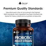 High Strength Acidophilus Probiotics for Gut Health