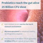 Probiotics & Prebiotics for Gut Health – 30 Capsules