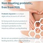 Probiotics & Prebiotics for Gut Health – 30 Capsules