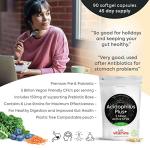 Acidophilus Plus Probiotic Complex for Gut Health
