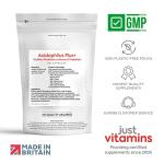 Acidophilus Plus Probiotic Complex for Gut Health