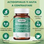 Lifeplan Probiotic Vegicaps with Acidophilus & Rhamnosus