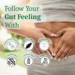 Raibu Vegan Probiotics for Gut Health - 180 Capsules