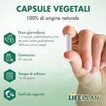 Lifeplan Probiotic Vegicaps with Acidophilus & Rhamnosus