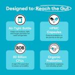 80 Billion CFU Probiotics with Prebiotics – 2 Month Supply
