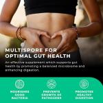 MultiSpore Plus Probiotics for Gut Health, 120 Capsules