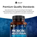 Daily Gut Health Probiotics - Vegan & Powerful