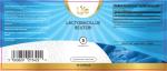 Lactobacillus Reuteri Probiotic Capsules - 90 Count