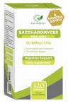 Nature's Zest Probiotic Yeast, 20 Billion CFU