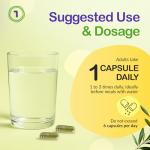 Saccharomyces Boulardii Probiotic Capsules for Gut Health