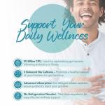 Zipvit 20 Billion CFU Vegan Probiotics for Gut Health
