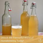Active Dried Yeast for Wine, Beer, Cider