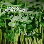 Organic Broccoli Sprout Extract - 90 Vegan Capsules