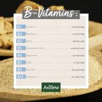 AniForte Brewer's Yeast Powder for Pets 500g