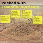 PURA Brewers Yeast Powder - 100% Natural Supplement