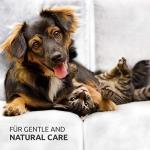 AniForte Brewer's Yeast Powder for Pets 500g