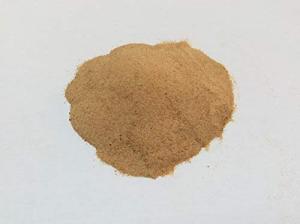 Premium Brewers Yeast Powder - 100g