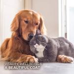 AniForte Brewer's Yeast Powder for Pets 500g