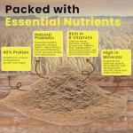 PURA Brewers Yeast Powder - 1KG Natural Supplement
