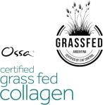 Grass-Fed Collagen Peptides Powder for Healthy Skin