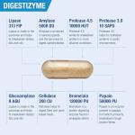 Lamberts Digestizyme Vegetarian Enzyme Capsules - 100 Count