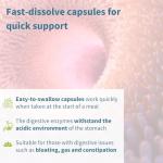 Fast Action Vegan Digestive Enzymes with Betaine HCl