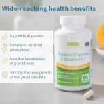 Fast Action Vegan Digestive Enzymes with Betaine HCl
