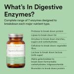 Digestive Enzymes – UDO’s Choice Plant-Based Blend