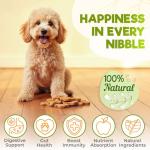 ZEN Probiotic Chews for Dogs - 150 Count
