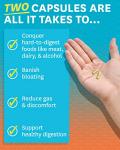 Zenwise Health No Bloat Probiotics and Digestive Support