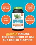 Zenwise Health No Bloat Probiotics and Digestive Support