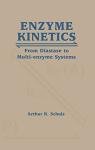 Multi-Enzyme System for Digestive Support