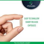 Vegan Probiotic Capsules for Gut Health – 30 Count