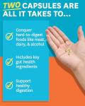 Zenwise No Bloat Probiotics for Gas Relief