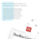 Bacillus Coagulans Probiotic - 120 Vegan Tablets