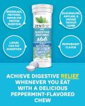 Zenwise Health Chewable Digestive Enzymes, 30ct