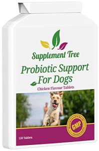 Chicken Flavor Probiotics for Dogs - 120 Tablets