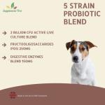 Chicken Flavor Probiotics for Dogs - 120 Tablets