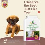 Chicken Flavor Probiotics for Dogs - 120 Tablets