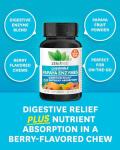 Zenwise Chewable Digestive Enzymes for Gut Health